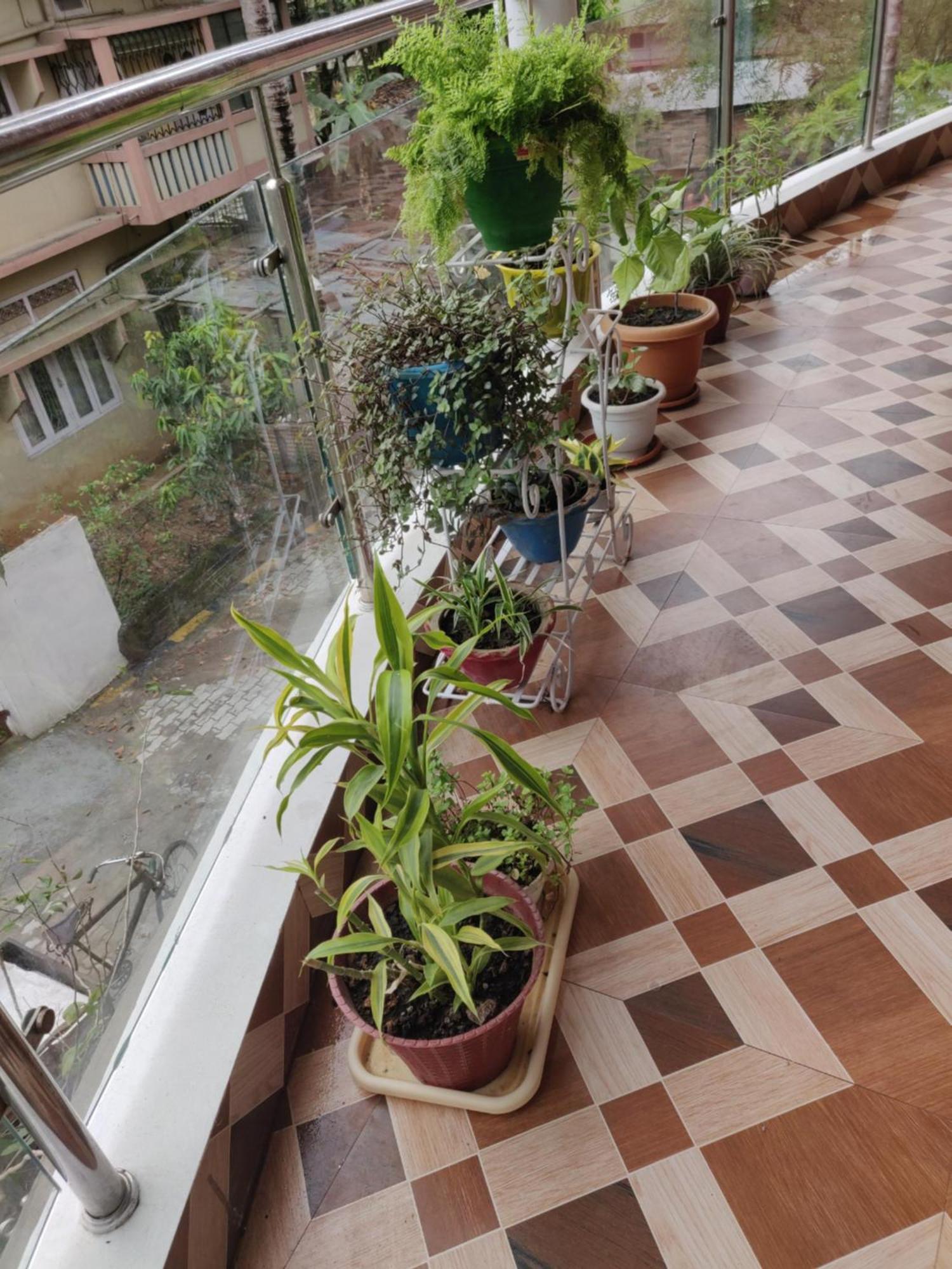 Bandana'S Bed & Breakfast Guwahati Bagian luar foto